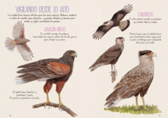 Veo Veo En Buenos Aires - La Naturaleza cerca en internet