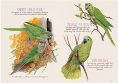 Veo Veo En Buenos Aires - La Naturaleza cerca - La Biblioteca del Naturalista