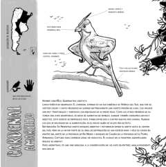 Bichitos en peligro - tienda online