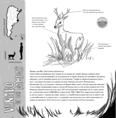 Bichitos en peligro