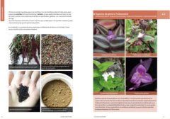 Imagen de Cocina Silvestre II