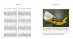 Fotografía en la Naturaleza - tienda online