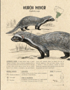 Fauna Argentina en internet