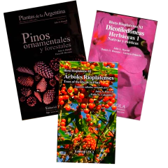 Combo Pinos + Árboles Rioplatenses + Dicotiledoneas Herbaceas 1 - comprar online