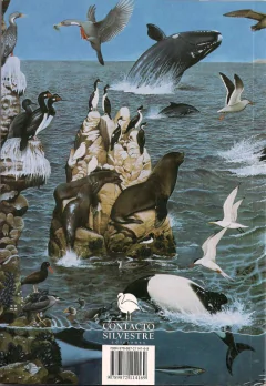 PATAGONIA - Las leyes entre las Costas y el Mar - comprar online