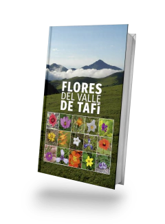 FLORES DEL TAFI