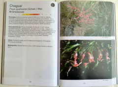 Plantas del Centro de Argentina on internet