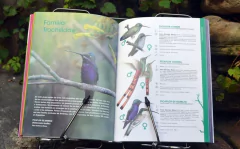 Imagen de Aves de la Reserva Natural de Vaquerías