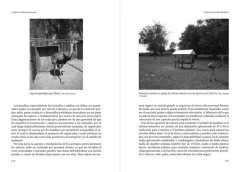 Libro: El Ñandú (Rhea americana) - buy online