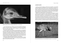Libro: El Ñandú (Rhea americana) - La Biblioteca del Naturalista