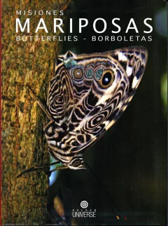 Misiones - Mariposas