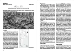 La Fauna Gringa - comprar online