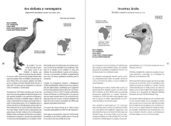 Historias de la Fauna Perdida en internet