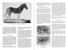 Historias de la Fauna Perdida en internet