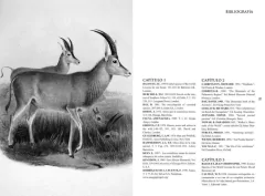 Historias de la Fauna Perdida