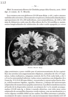 Image of CACTACEAS
