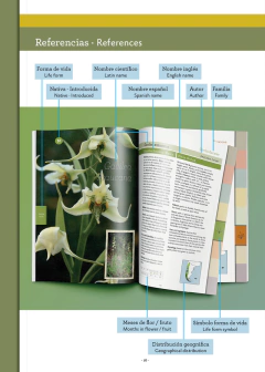FLORA PATAGONIA - Guía para la Identificación de Plantas y sus hábitats en internet