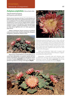 Flores de Alta Montaña de los Andes Patagónicos - online store