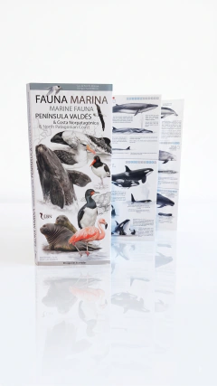 Bilingual Pocket Guide – Marine Fauna of Península Valdés & North Patagonian Coast - La Biblioteca del Naturalista