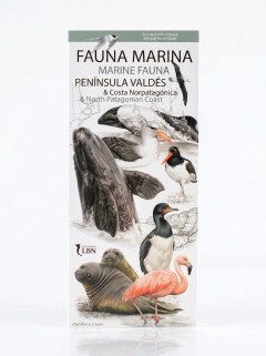 Bilingual Pocket Guide – Marine Fauna of Península Valdés & North Patagonian Coast