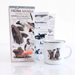 Combo Guía de Bolsillo Fauna Marina Península Valdés + Jarro Enlozado
