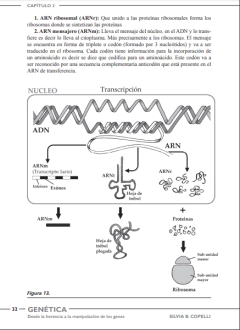 GENÉTICA. Desde a Herencia a la Manipulacion de los Genes. - La Biblioteca del Naturalista