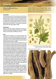 Libro: Plantas de Herboristería - buy online