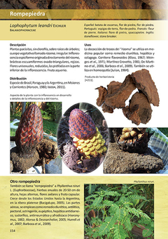 Libro: Plantas de Herboristería