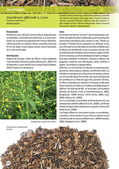Libro: Plantas de Herboristería on internet