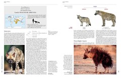 Handbook of the Mammals of the World - Vol 1 Carnivores - La Biblioteca del Naturalista