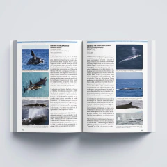 PRE-VENTA 1: Malvinas – Una breve Historia Natural - 50%OFF POR TRANSFERENCIA - envíos a partir del 12/08 - tienda online