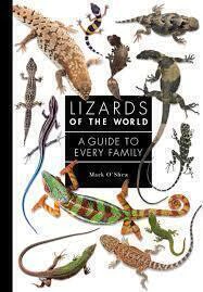 Lizards of the World - A Guide to Every Family