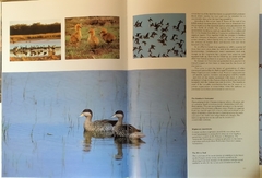 NATIONAL PARKS OF ARGENTINA AND OTHERS NATURAL AREAS - comprar online
