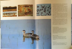 NATIONAL PARKS OF ARGENTINA AND OTHERS NATURAL AREAS - buy online