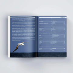 PRE-VENTA 1: Malvinas – Una breve Historia Natural - 50%OFF POR TRANSFERENCIA - envíos a partir del 12/08 en internet