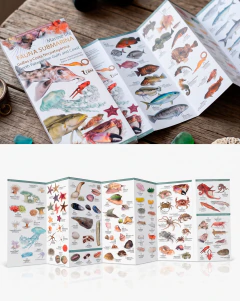 Image of Combo Guías de Bolsillo Península Valdés, golfos y costa Norpatagónica