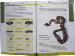Manual Practico sobre Serpientes - comprar online