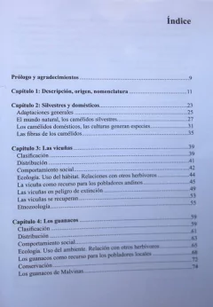Camélidos Sudamericanos - comprar online
