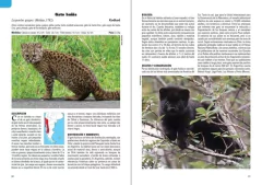 Mamíferos Terrestres de la Patagonia, Sur de Argentina y Chile on internet