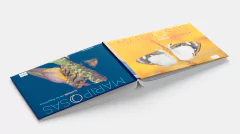 MARIPOSAS SOLARES Y LUNARES DE LA ARGENTINA - buy online
