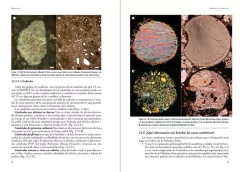 Meteoritos. Restos rocosos del Sistema Solar Primitivo