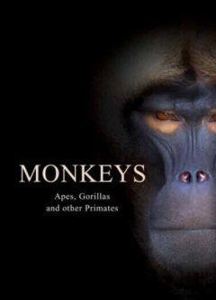 Monkeys: Apes, Gorillas and Other Primates (en Inglés)
