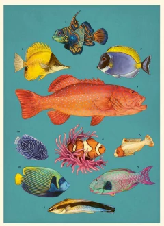 OCEANARIUM