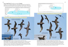 OCEANIC BIRDS OF THE WORLD - A photo guide (Inglés) - comprar online