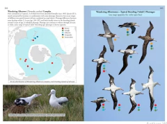 OCEANIC BIRDS OF THE WORLD - A photo guide (Inglés) - La Biblioteca del Naturalista