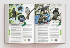 Aves de Misiones y de la Selva Atlántica - SOLO POR TRANSFERENCIA - La Biblioteca del Naturalista