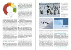Imagen de Pingüinos: Historia Natural y Conservación