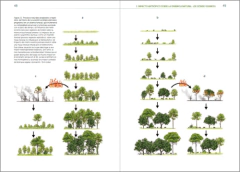 Rewilding Iberia. Explorando el potencial de la renaturalización en España en internet