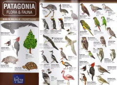 PATAGONIA Flora y Fauna - Guía de Bolsillo - buy online