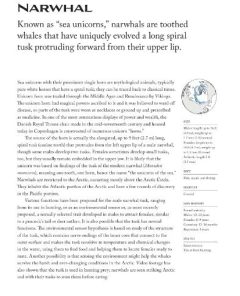 Sea Mammals: The Past and Present Lives of our Oceans’ Cornerstone Species (en Inglés) - La Biblioteca del Naturalista